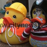 news-entenrennen-auf-der-alster-02