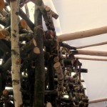 news-hamburger-klimawoche-2011-03