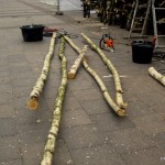 news-hamburger-klimawoche-2011-05