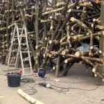 news-hamburger-klimawoche-2011-06