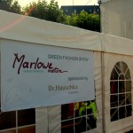 news-hamburger-klimawoche-2011-08