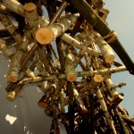 news-hamburger-klimawoche-2011-22