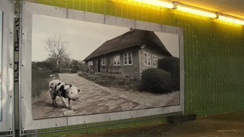 billig-banner24-referenzen-106