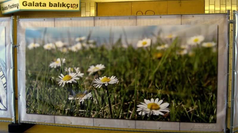 billig-banner24-referenzen-107