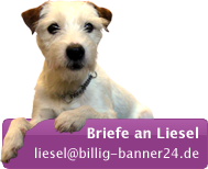 Briefe an Liesel - liesel[at]billig-banner24.de