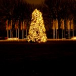 news-horner-weihnachtsbaum-leuchtet-04